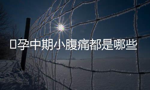 ​孕中期小腹痛都是哪些原因？