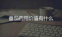 番茄药用价值有什么