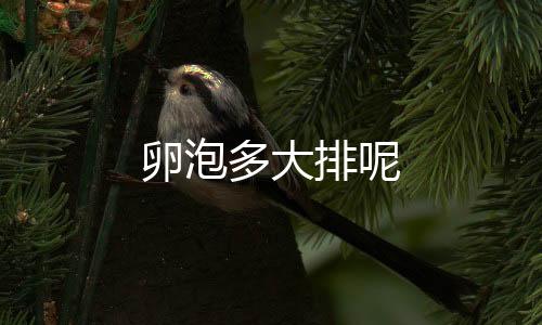 卵泡多大排呢