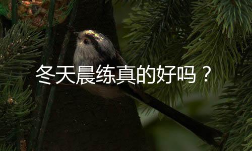 冬天晨练真的好吗？