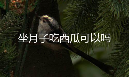 坐月子吃西瓜可以吗