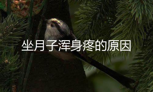 坐月子浑身疼的原因