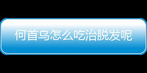 何首乌怎么吃治脱发呢