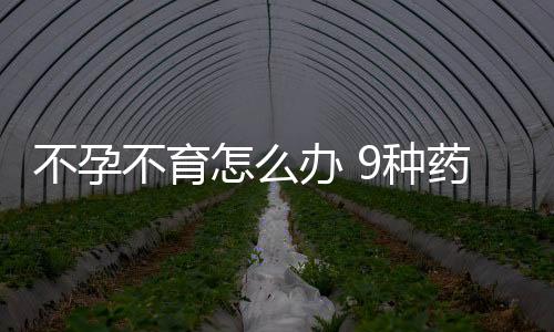 不孕不育怎么办 9种药膳食疗助你做父母