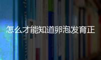 怎么才能知道卵泡发育正常？