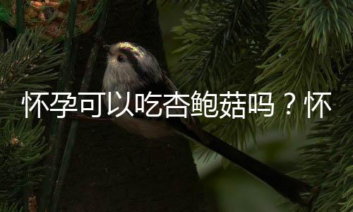 怀孕可以吃杏鲍菇吗？怀孕吃什么比较好