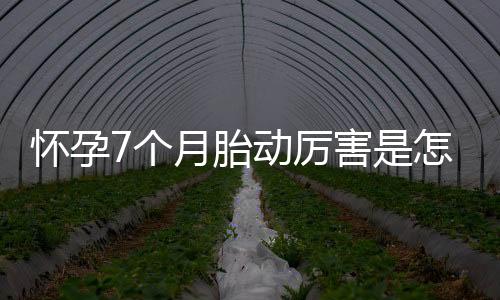 怀孕7个月胎动厉害是怎么回事