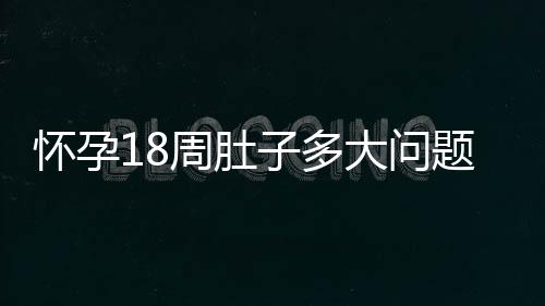 怀孕18周肚子多大问题