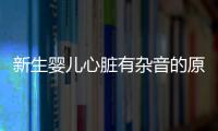 新生婴儿心脏有杂音的原因有哪些