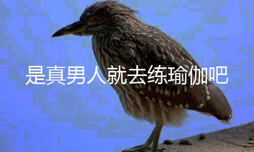 是真男人就去练瑜伽吧