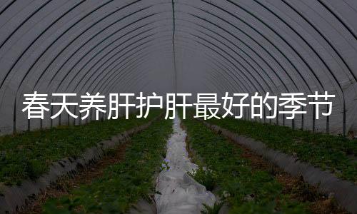 春天养肝护肝最好的季节 要想养肝避免这种伤肝行为