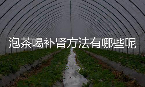 泡茶喝补肾方法有哪些呢