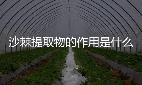 沙棘提取物的作用是什么？