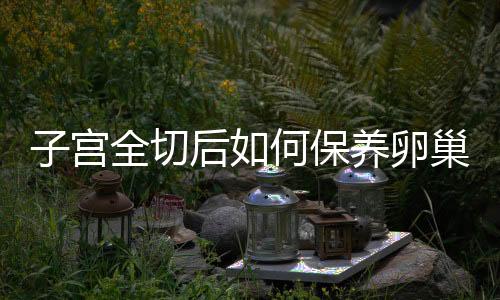 子宫全切后如何保养卵巢呢