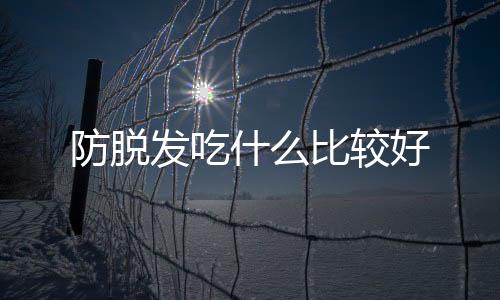 防脱发吃什么比较好