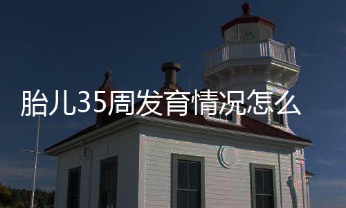 胎儿35周发育情况怎么样