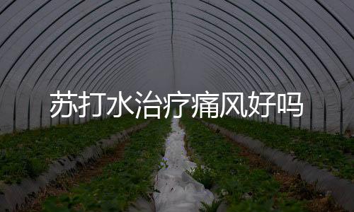 苏打水治疗痛风好吗